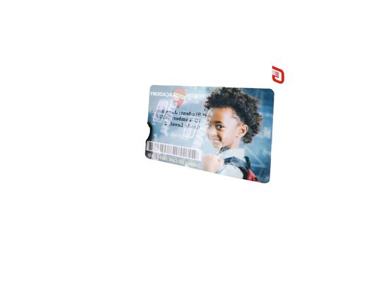 Ruban anti-contrefaçon argenté perlé pour imprimante de cartes en plastique Zebra ZC300 ZC100
