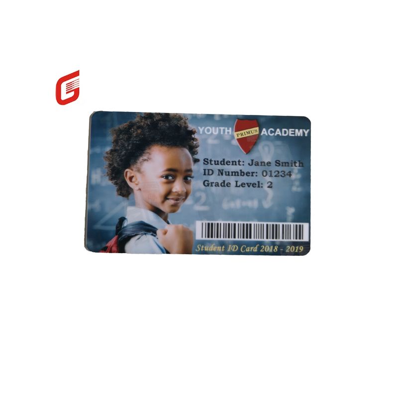 Zebra 800300-562 CN Ruban anti-contrefaçon argent perlé pour imprimante ZC300/ZC100
